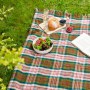 polo-picnic-rug-tartan-thistleberry-2024