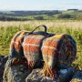 polo-picnic-rug-tartan-antique-buchanan